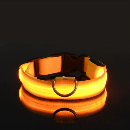 Lichtgevende halsband en riem voor hond