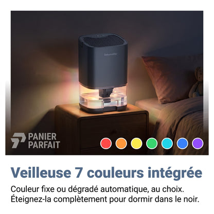 Déshumidificateur silencieux 2 en 1 pour air intérieur