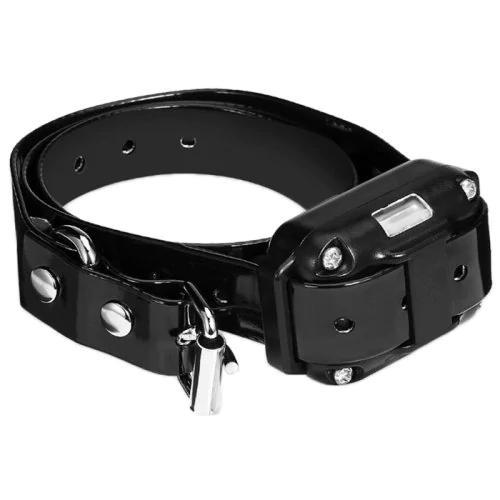 Collier anti-aboiement pour chien à télécommande créative