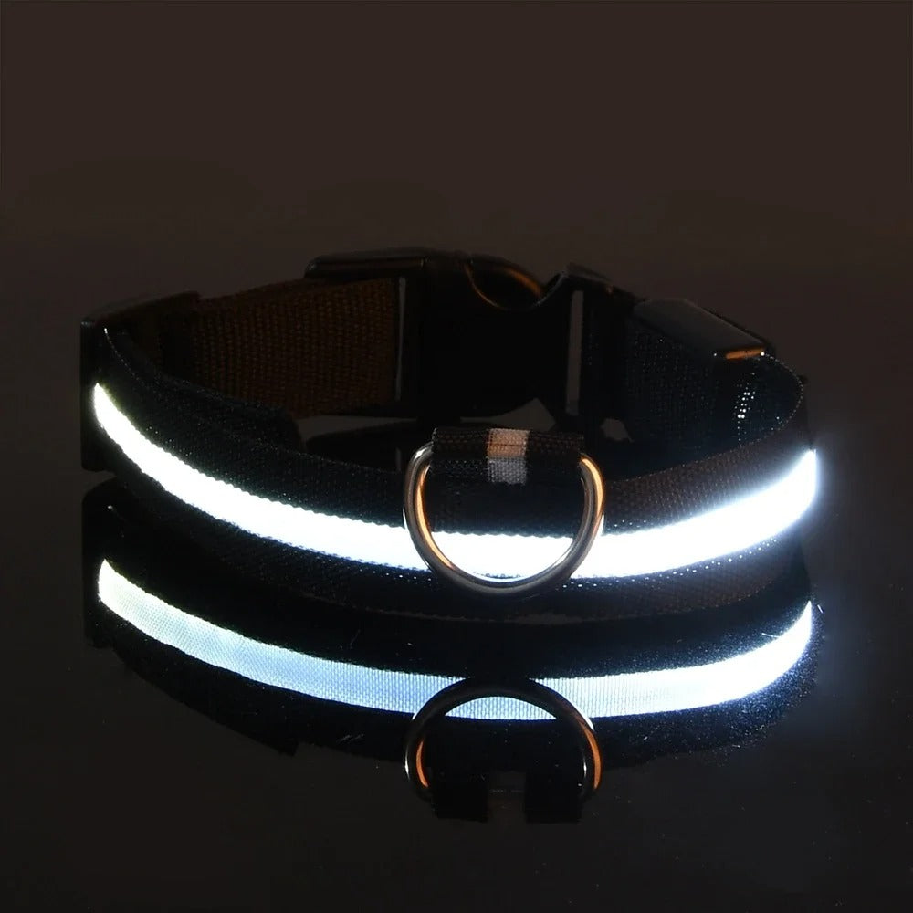 Lichtgevende halsband en riem voor hond