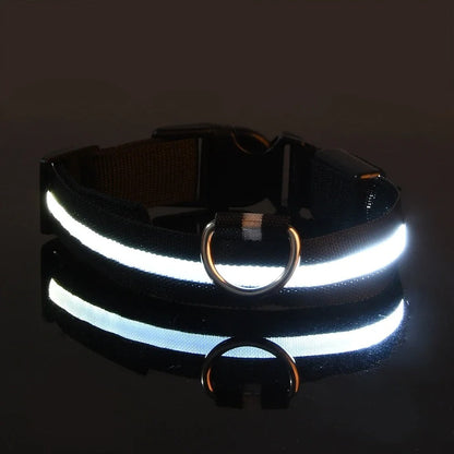 Lichtgevende halsband en riem voor hond