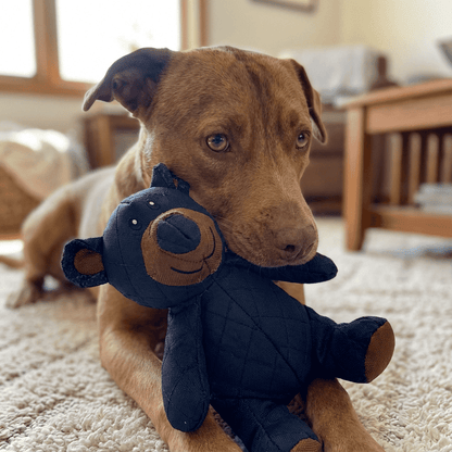 Jouet résistant indestructible pour chiens actifs mâchouilleurs