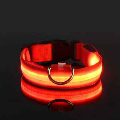 Lichtgevende halsband en riem voor hond