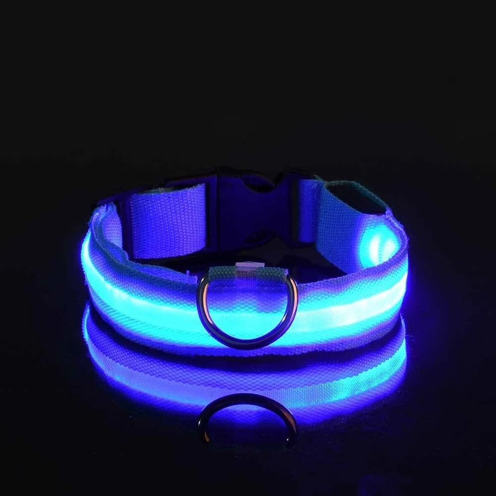 Lichtgevende halsband en riem voor hond
