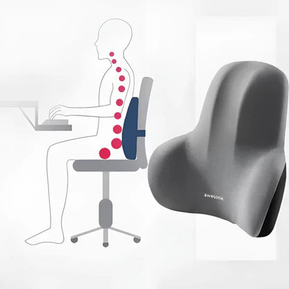 Ergonomisch Lendenkussen van Geheugenschuim