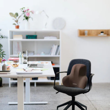 Ergonomisch Lendenkussen van Geheugenschuim