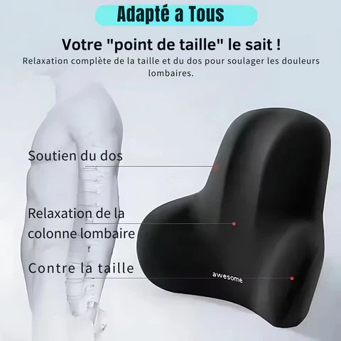 Ergonomisch Lendenkussen van Geheugenschuim