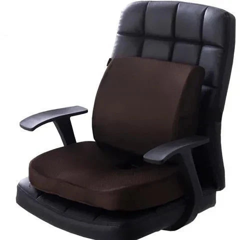Ergonomisch schuim lendensteunkussen