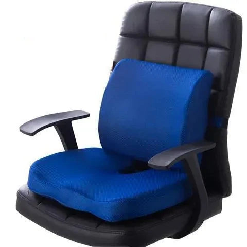 Ergonomisch schuim lendensteunkussen