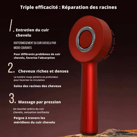 Peigne électrique de massage professionnel pour soins capillaires
