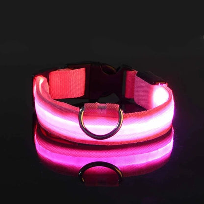 Lichtgevende halsband en riem voor hond