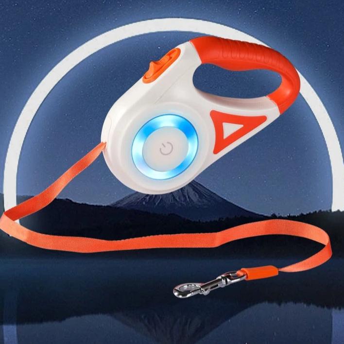 Laisse rétractable lumineuse pour chien LED