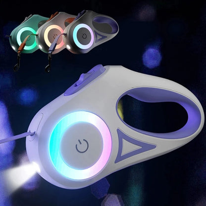Laisse rétractable lumineuse pour chien LED