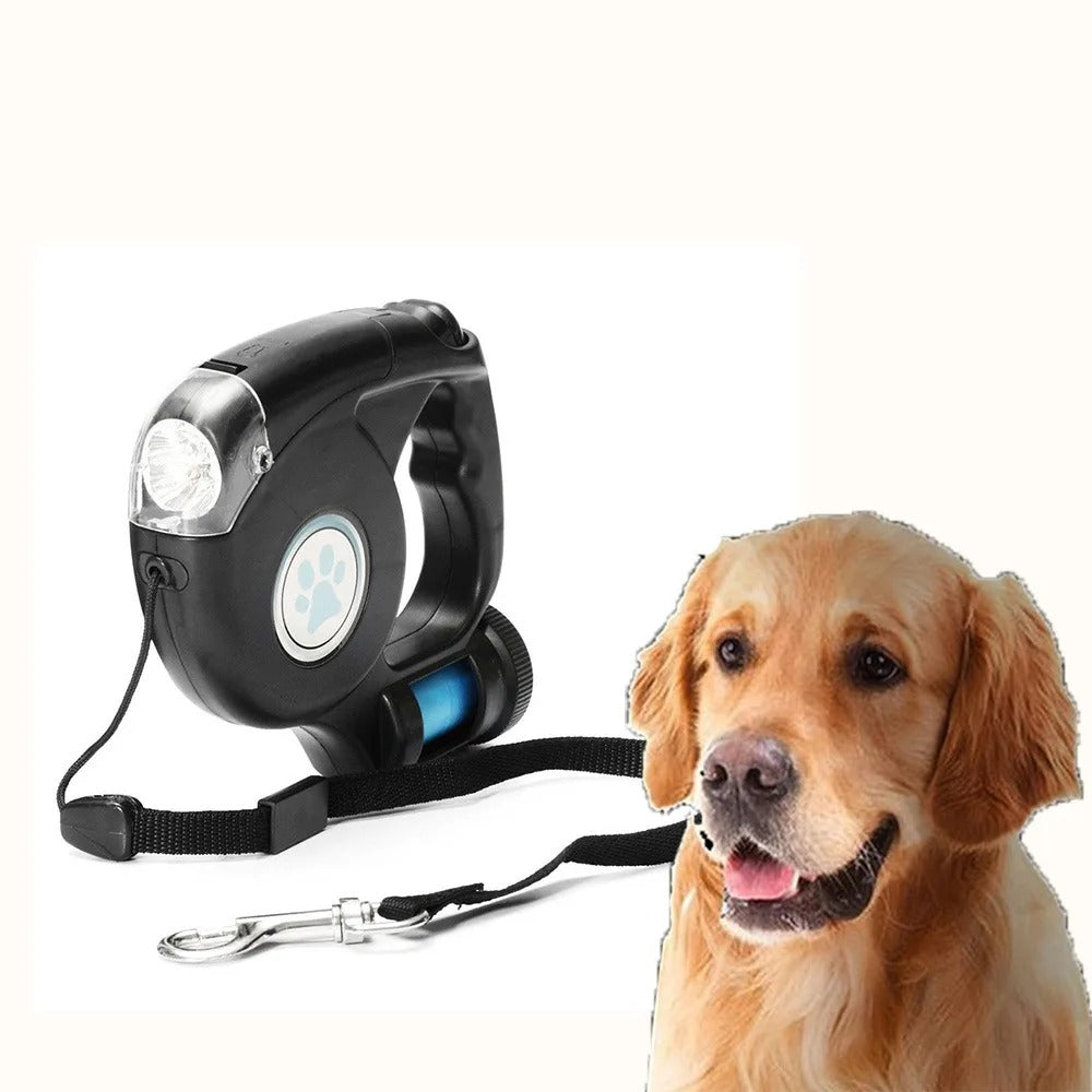 Laisse extensible à LED pour chien