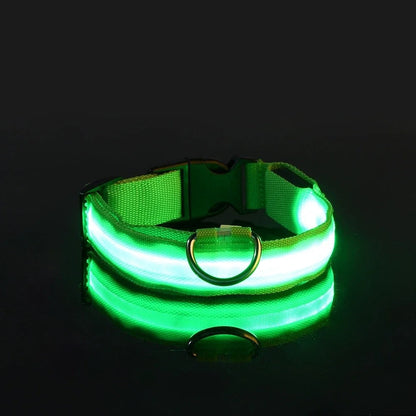Lichtgevende halsband en riem voor hond