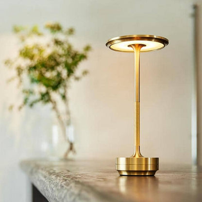 Verstelbare Draagbare LED-lamp