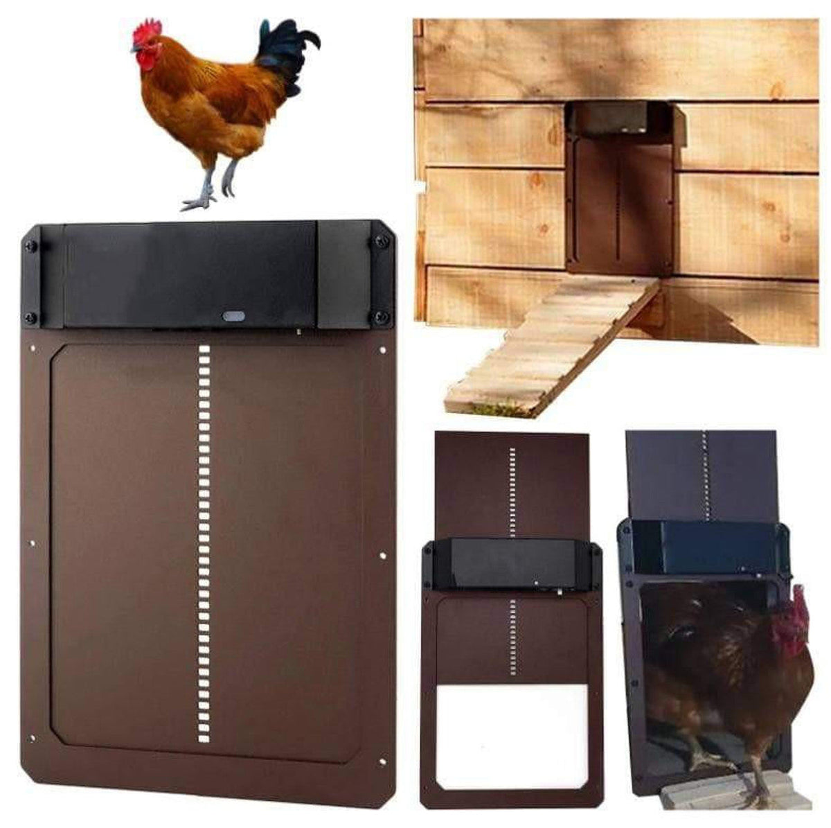 Porte de poulailler automatique à ouverture programmée